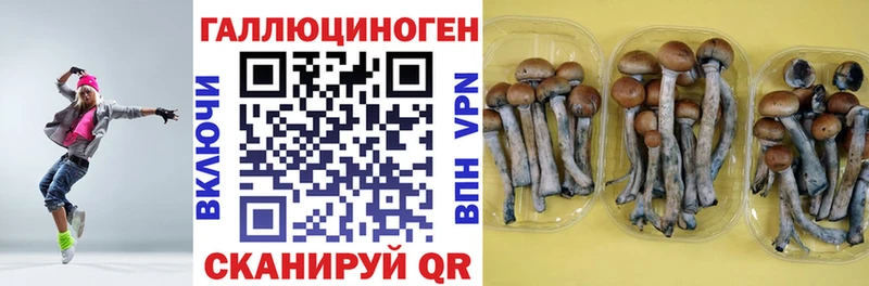 где купить наркоту Златоуст Галлюциногенные грибы мицелий